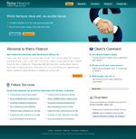 Voorbeeld van Finance and Ecommerce_274 Webdesign